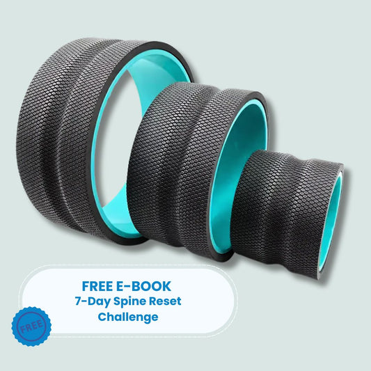 Pluxi Wheel 3-Pack